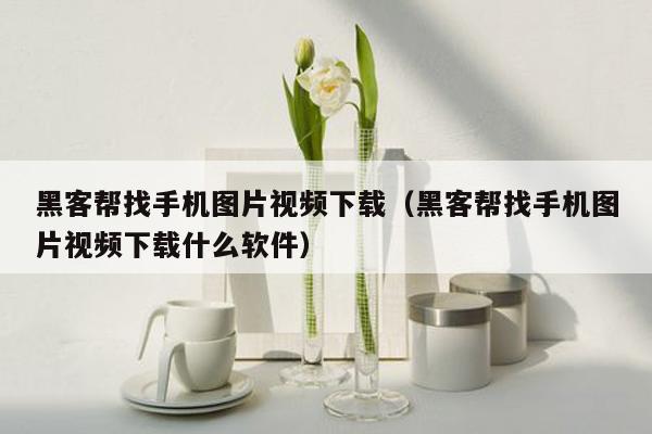 黑客帮找手机图片视频下载（黑客帮找手机图片视频下载什么软件）