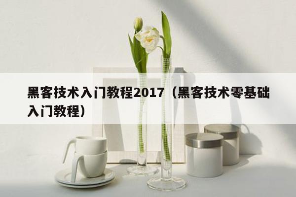 黑客技术入门教程2017（黑客技术零基础入门教程）