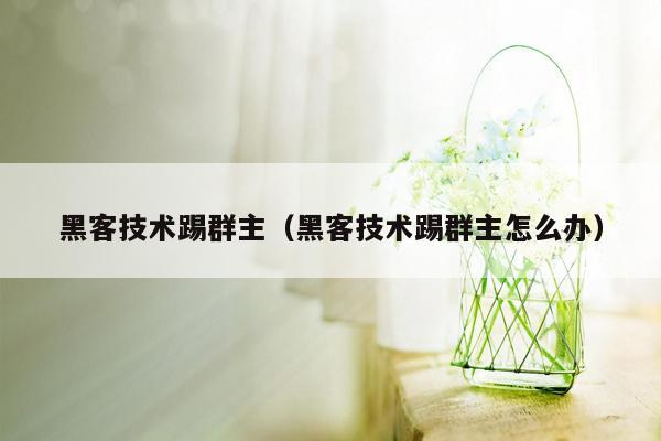 黑客技术踢群主（黑客技术踢群主怎么办）