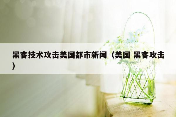 黑客技术攻击美国都市新闻（美国 黑客攻击）