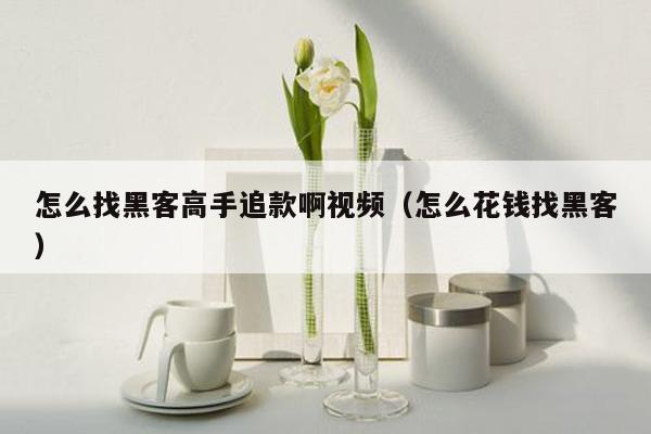 怎么找黑客高手追款啊视频（怎么花钱找黑客）