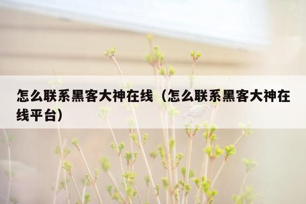 怎么联系黑客大神在线（怎么联系黑客大神在线平台）
