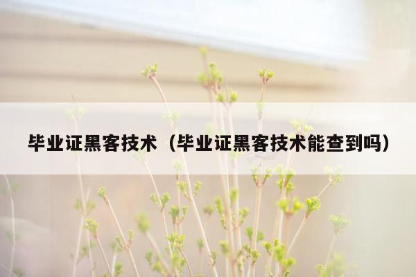 毕业证黑客技术（毕业证黑客技术能查到吗）