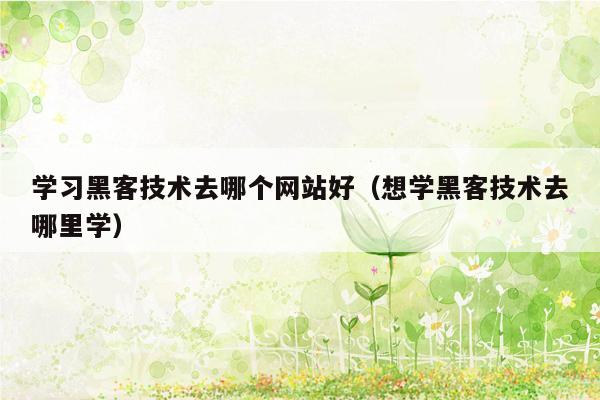 学习黑客技术去哪个网站好（想学黑客技术去哪里学）