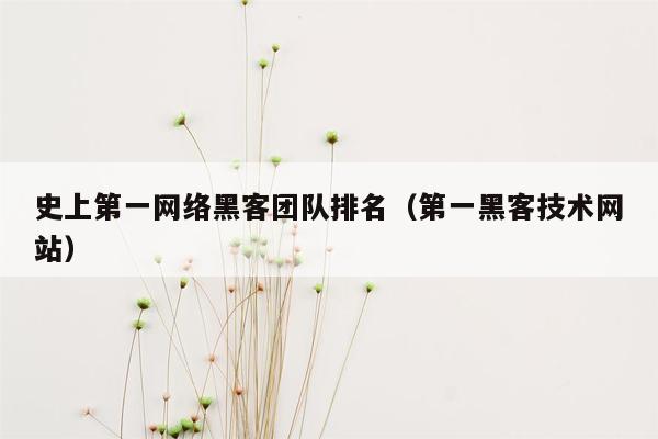 史上第一网络黑客团队排名（第一黑客技术网站）