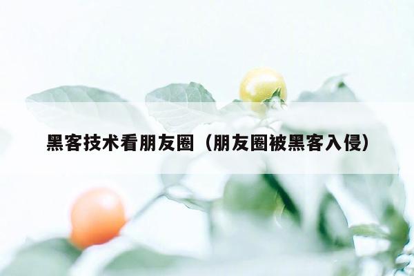 黑客技术看朋友圈（朋友圈被黑客入侵）