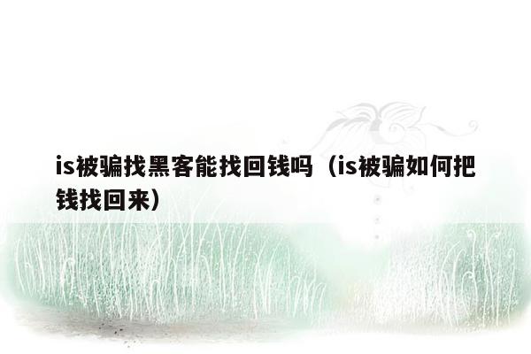 is被骗找黑客能找回钱吗（is被骗如何把钱找回来）