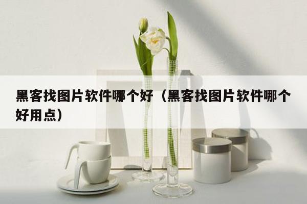 黑客找图片软件哪个好（黑客找图片软件哪个好用点）