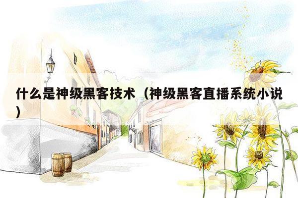 什么是神级黑客技术（神级黑客直播系统小说）