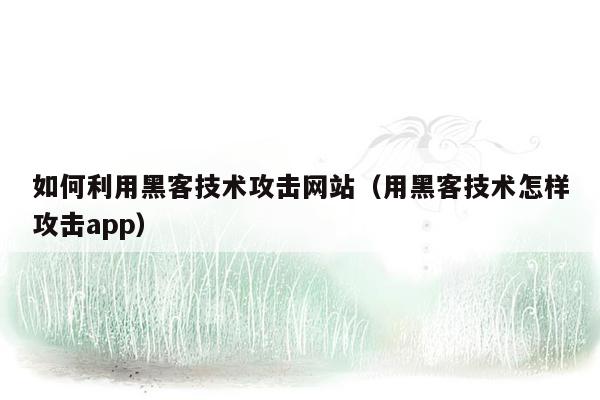 如何利用黑客技术攻击网站（用黑客技术怎样攻击app）