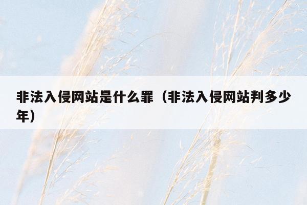 非法入侵网站是什么罪（非法入侵网站判多少年）