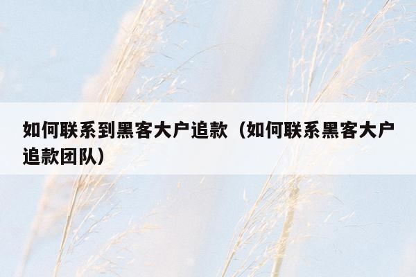 如何联系到黑客大户追款（如何联系黑客大户追款团队）