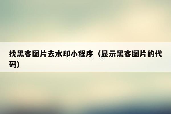 找黑客图片去水印小程序（显示黑客图片的代码）