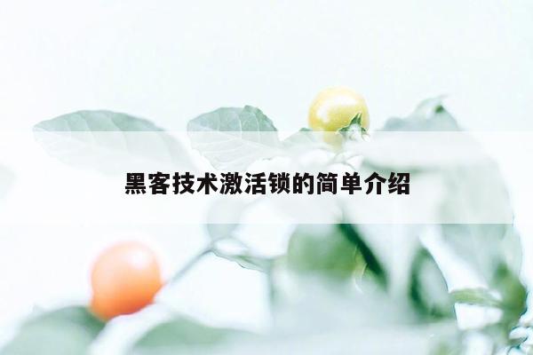 黑客技术激活锁的简单介绍