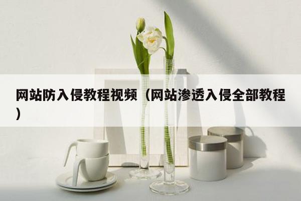 网站防入侵教程视频（网站渗透入侵全部教程）