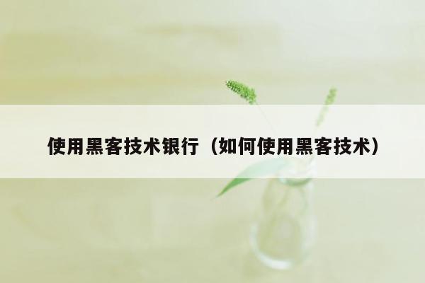 使用黑客技术银行（如何使用黑客技术）