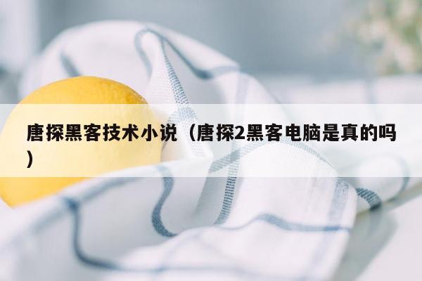 唐探黑客技术小说（唐探2黑客电脑是真的吗）