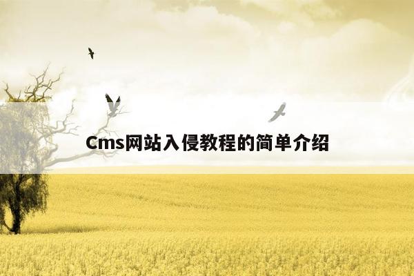 Cms网站入侵教程的简单介绍