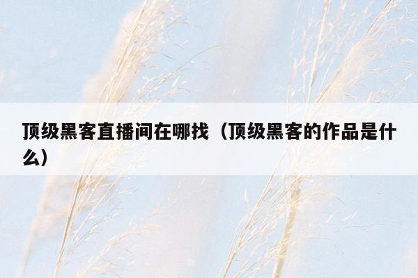 顶级黑客直播间在哪找（顶级黑客的作品是什么）