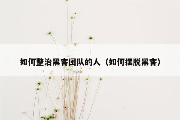 如何整治黑客团队的人（如何摆脱黑客）