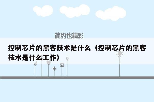 控制芯片的黑客技术是什么（控制芯片的黑客技术是什么工作）
