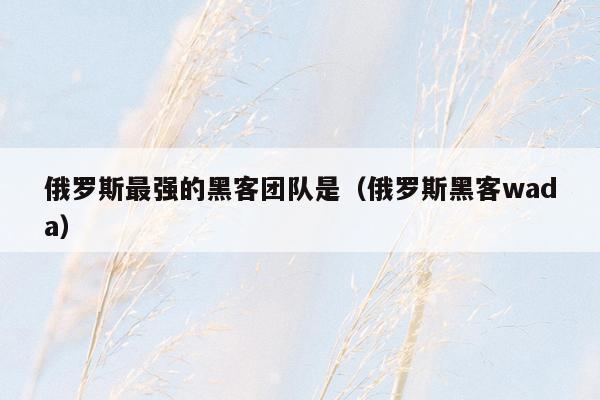 俄罗斯最强的黑客团队是（俄罗斯黑客wada）