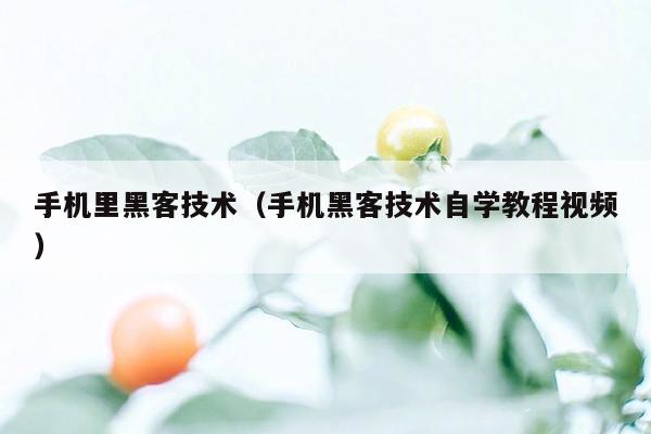 手机里黑客技术（手机黑客技术自学教程视频）