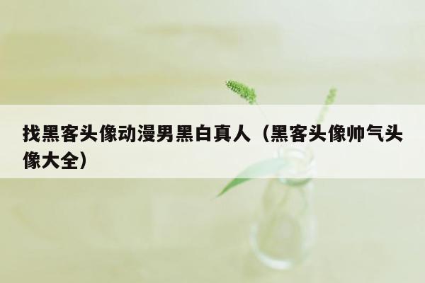 找黑客头像动漫男黑白真人（黑客头像帅气头像大全）