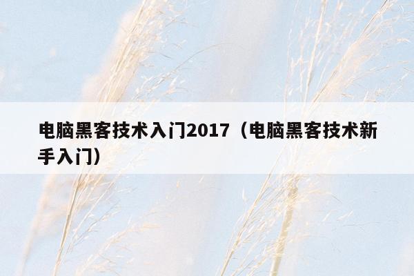 电脑黑客技术入门2017（电脑黑客技术新手入门）