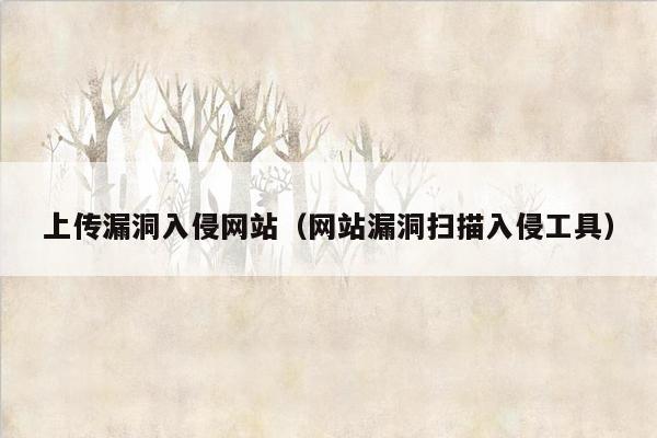 上传漏洞入侵网站（网站漏洞扫描入侵工具）