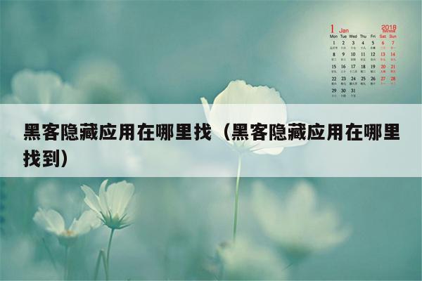 黑客隐藏应用在哪里找（黑客隐藏应用在哪里找到）