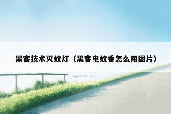 黑客技术灭蚊灯（黑客电蚊香怎么用图片）