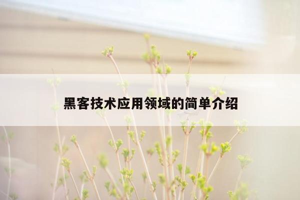 黑客技术应用领域的简单介绍