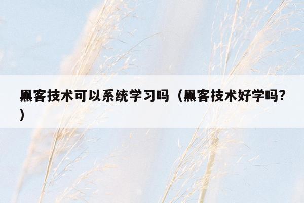 黑客技术可以系统学习吗（黑客技术好学吗?）