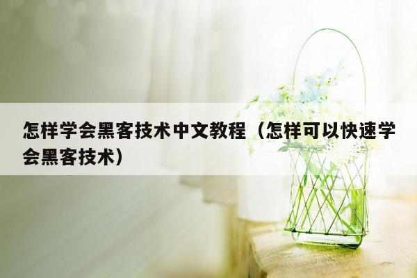 怎样学会黑客技术中文教程（怎样可以快速学会黑客技术）