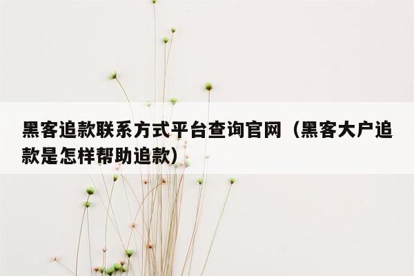 黑客追款联系方式平台查询官网（黑客大户追款是怎样帮助追款）