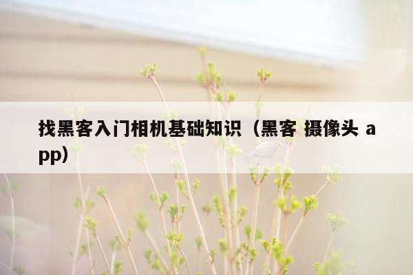找黑客入门相机基础知识（黑客 摄像头 app）