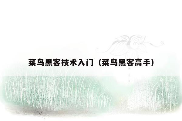 菜鸟黑客技术入门（菜鸟黑客高手）