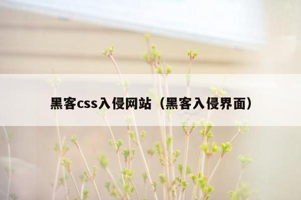 黑客css入侵网站（黑客入侵界面）