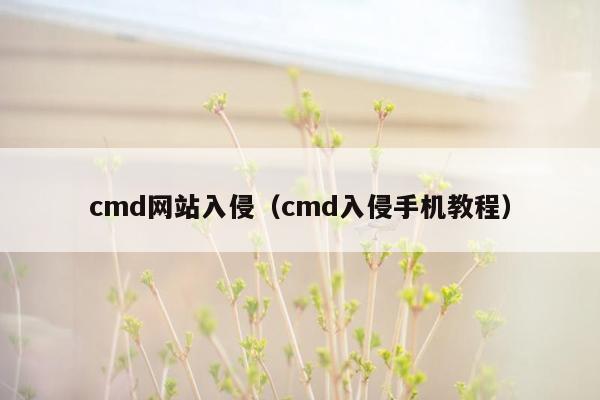 cmd网站入侵（cmd入侵手机教程）