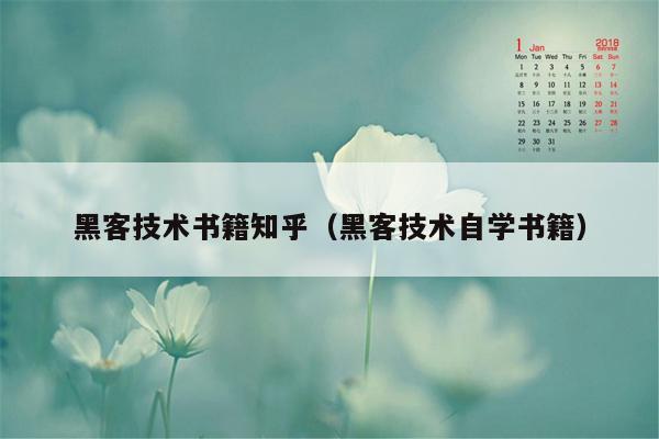 黑客技术书籍知乎（黑客技术自学书籍）