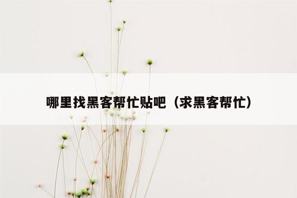 哪里找黑客帮忙贴吧（求黑客帮忙）