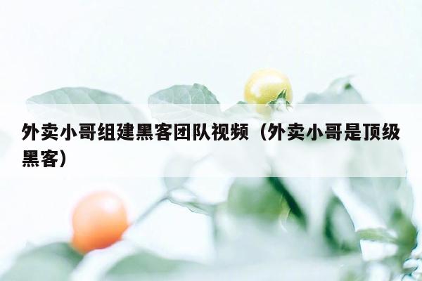 外卖小哥组建黑客团队视频（外卖小哥是顶级黑客）
