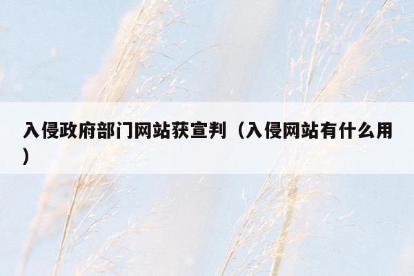 入侵政府部门网站获宣判（入侵网站有什么用）