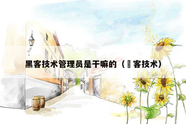 黑客技术管理员是干嘛的（黒客技术）