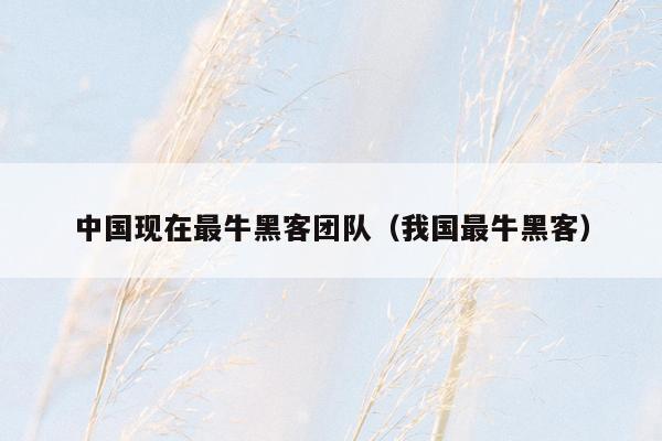 中国现在最牛黑客团队（我国最牛黑客）