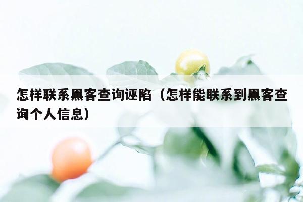 怎样联系黑客查询诬陷（怎样能联系到黑客查询个人信息）