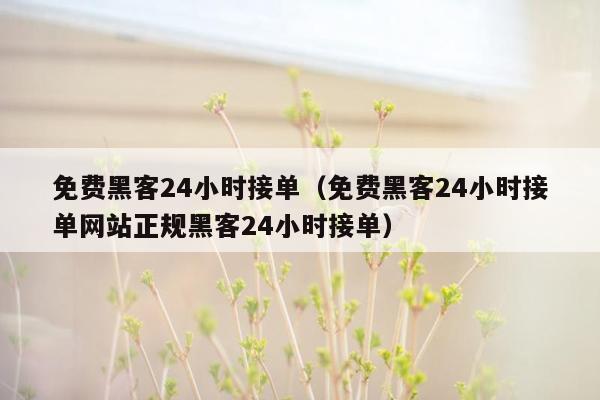 免费黑客24小时接单（免费黑客24小时接单网站正规黑客24小时接单）