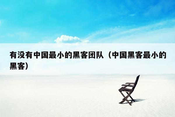 有没有中国最小的黑客团队（中国黑客最小的黑客）