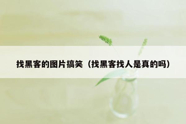 找黑客的图片搞笑（找黑客找人是真的吗）